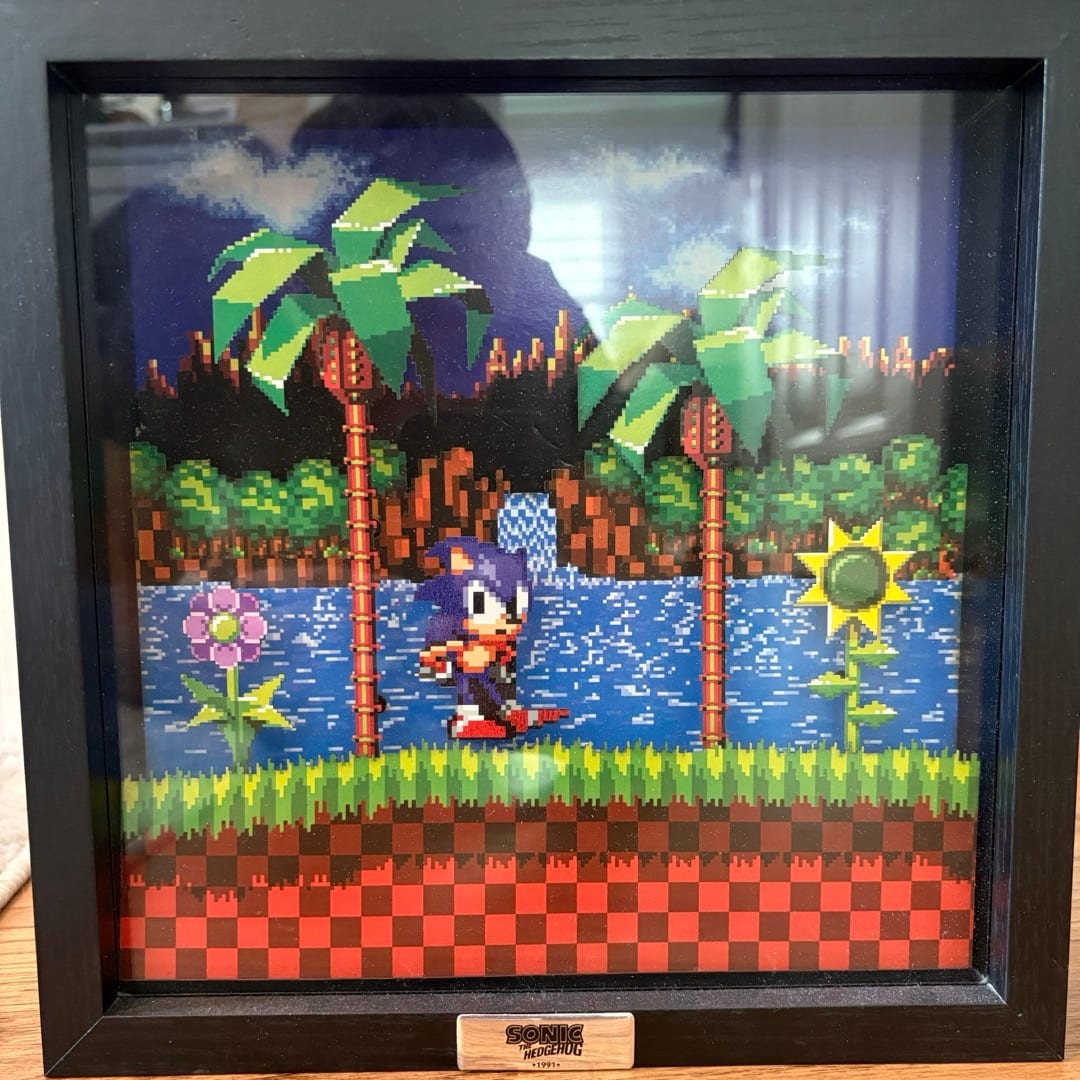 Sonic the Hedgehog Pixal Frame